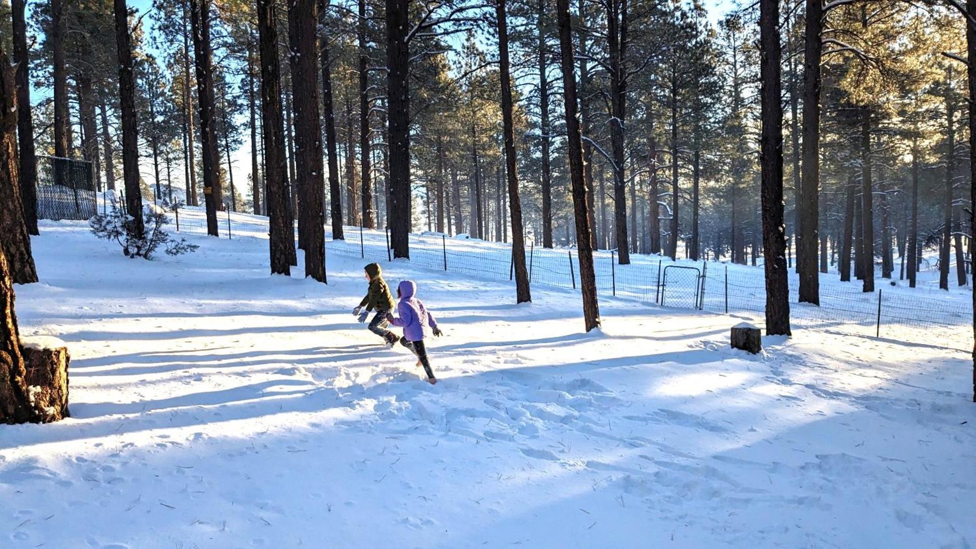 Close To Williams, Flagstaff, Grand Canyon And Sedona Exterior photo