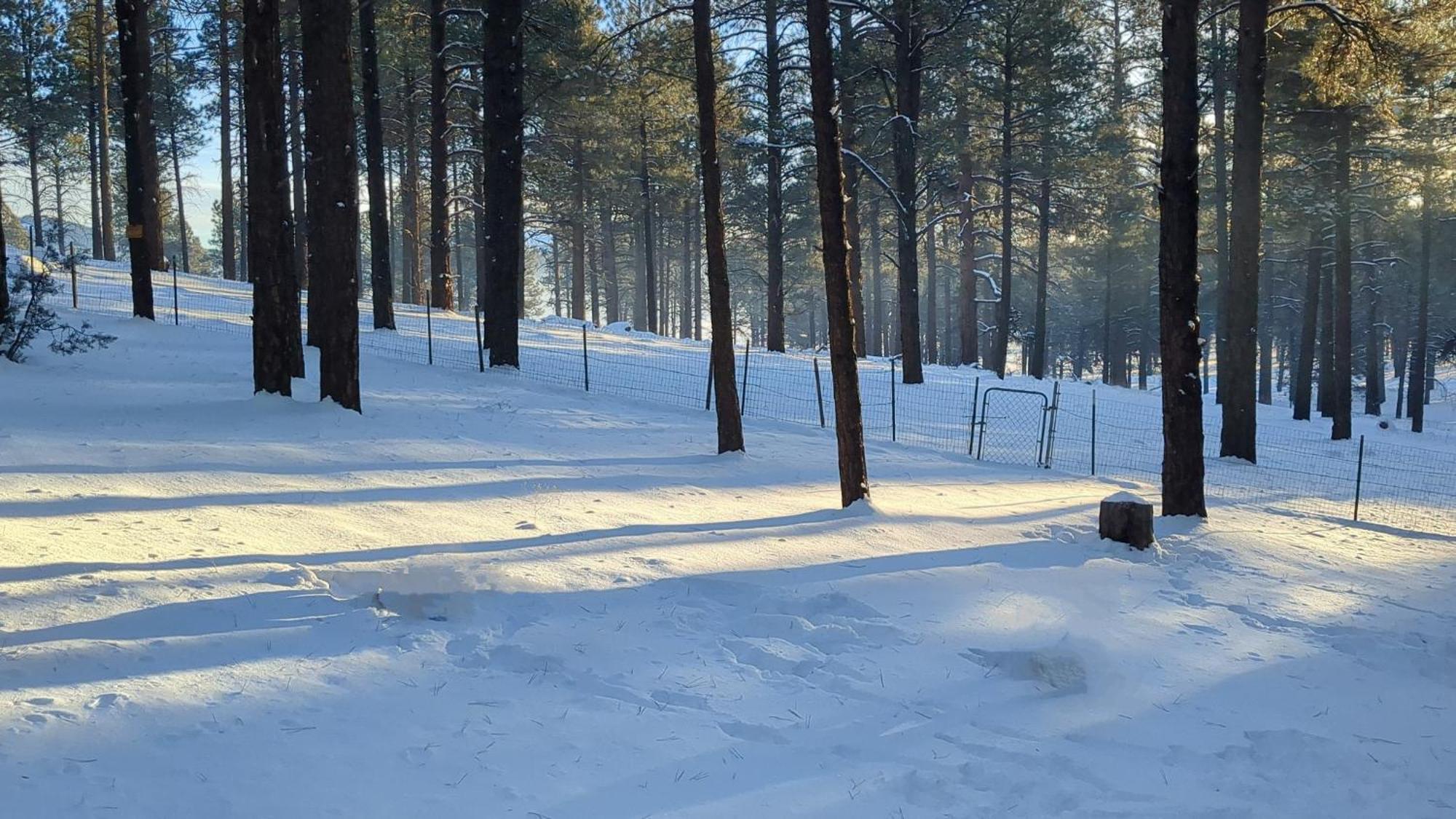 Close To Williams, Flagstaff, Grand Canyon And Sedona Exterior photo