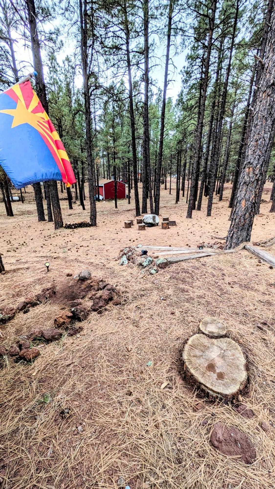 Close To Williams, Flagstaff, Grand Canyon And Sedona Exterior photo
