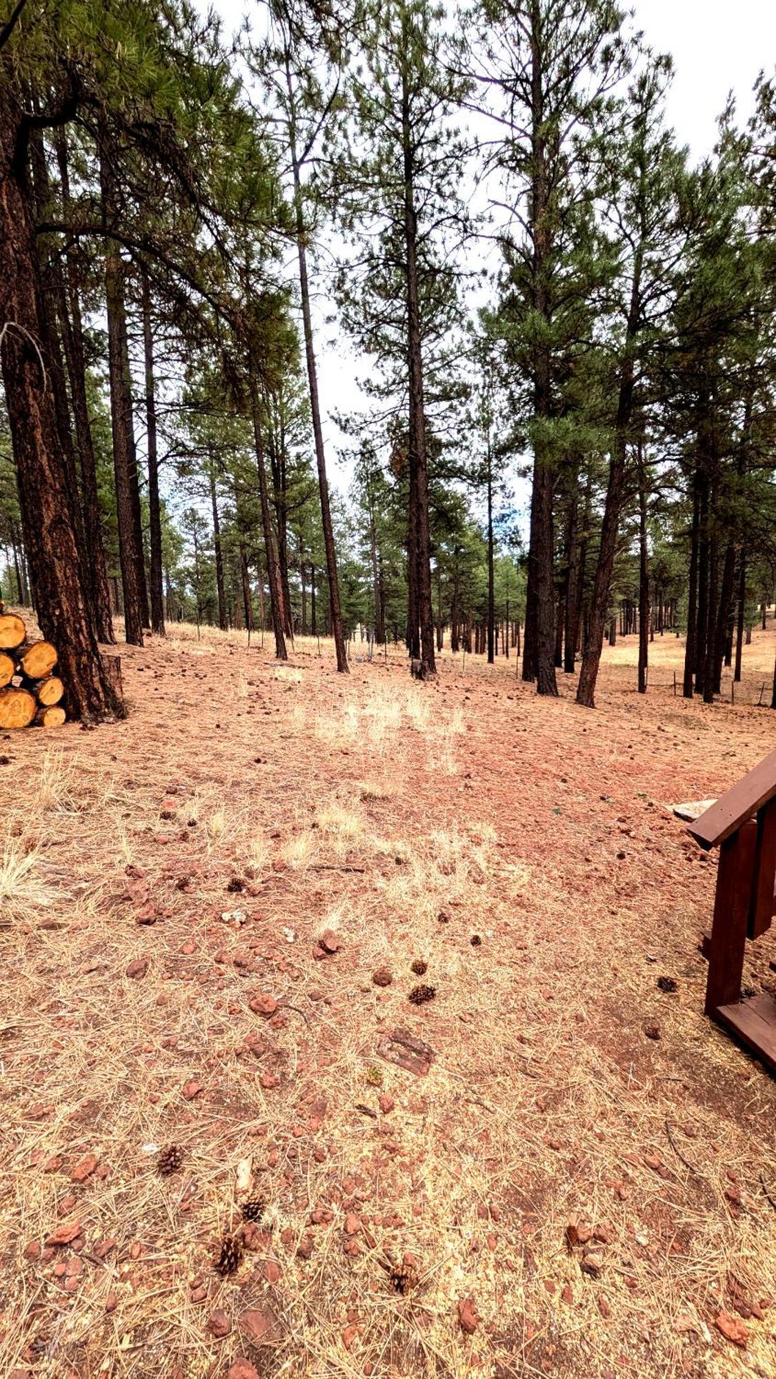 Close To Williams, Flagstaff, Grand Canyon And Sedona Exterior photo