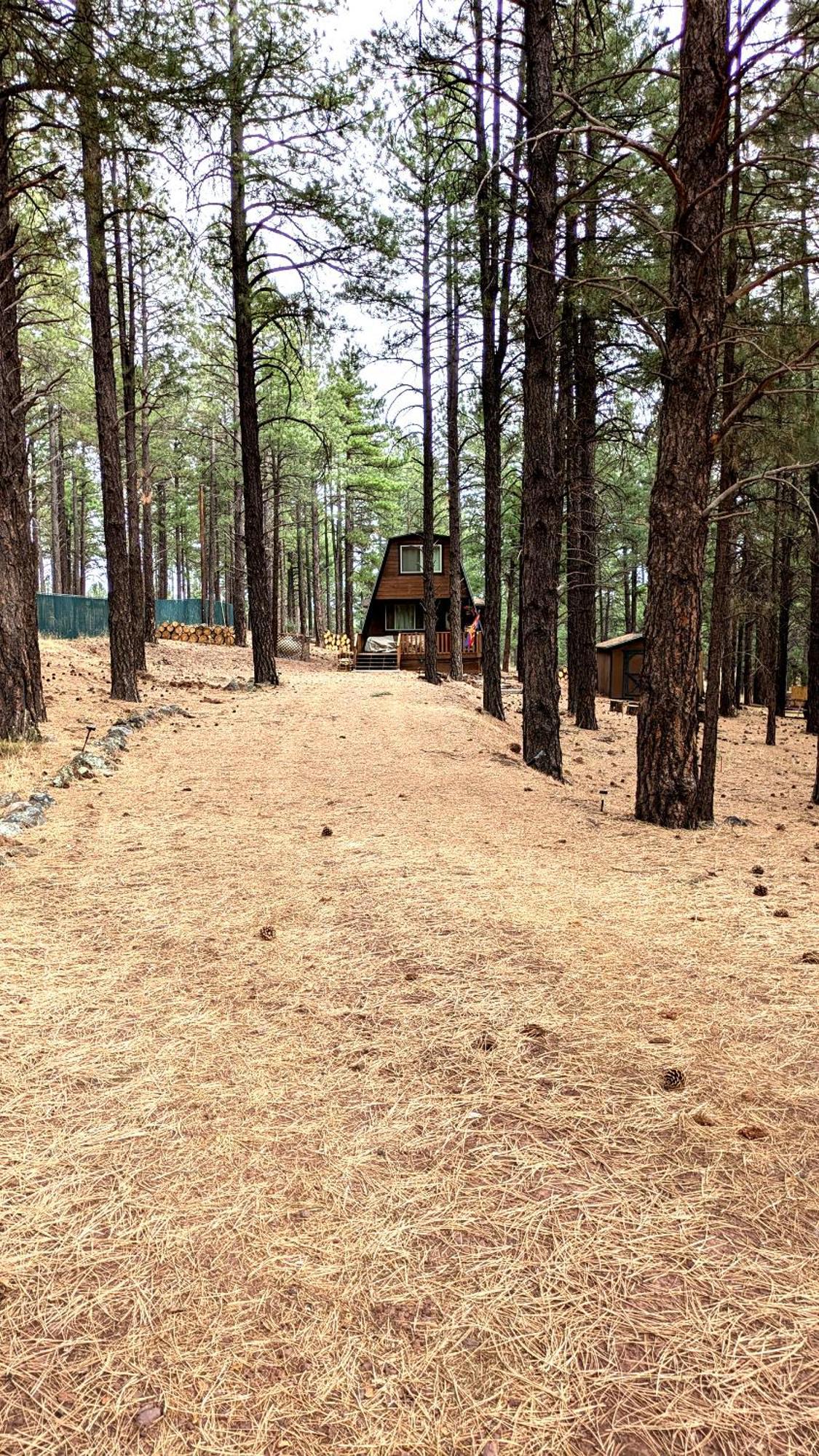 Close To Williams, Flagstaff, Grand Canyon And Sedona Exterior photo